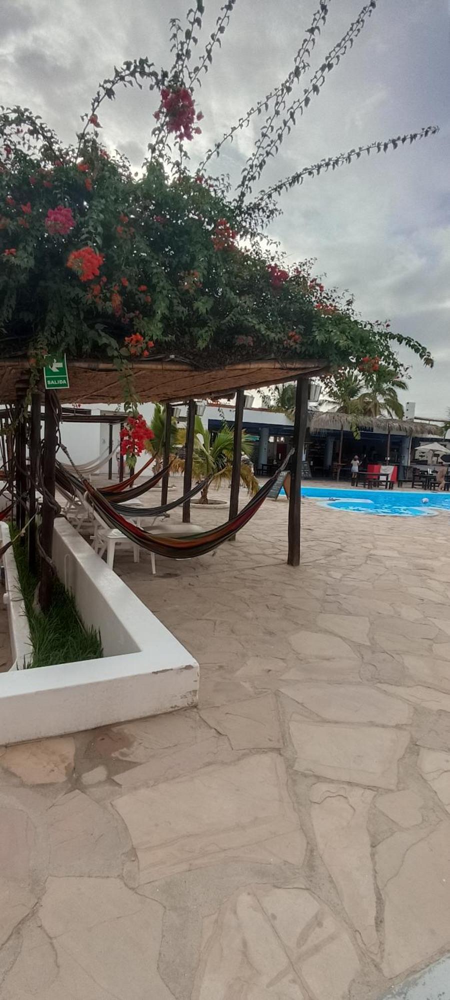 Auberge de jeunesse Loki Del Mar à Máncora Extérieur photo